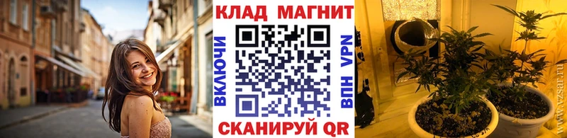 Продажа наркотиков Кашира Cocaine  A-PVP  Метадон  Марихуана  Меф  Гашиш  АМФ 