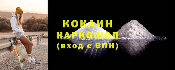 бошки Бронницы