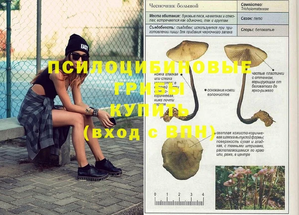 каннабис Бородино