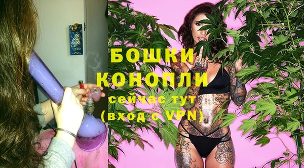 бошки Бронницы